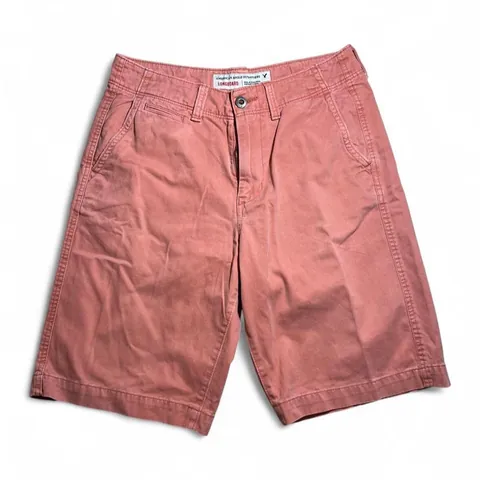 American Eagle Outfitters Salmon Longboard Shorts
